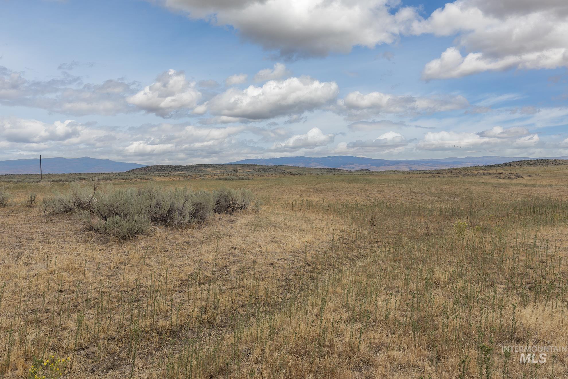724 Mundy Gulch Road Indian Valley, ID 83632 - Photo 39 of 43 View of mountain backdrop
