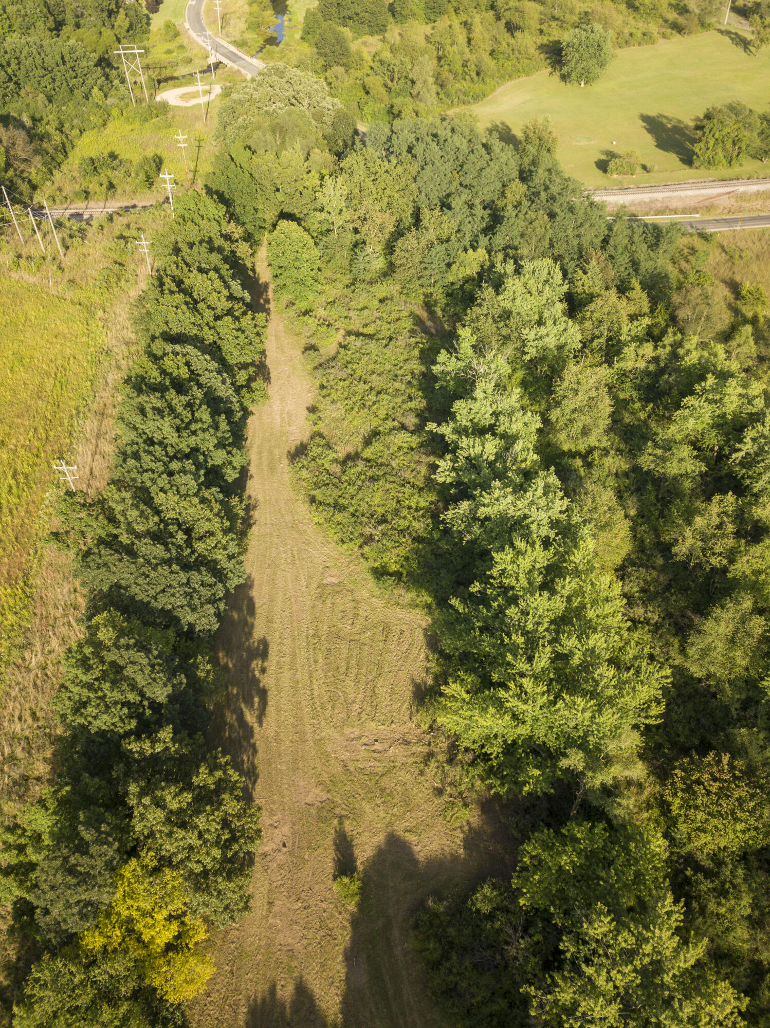 3911 West Carleton Road Jonesville, MI 49250 - Photo 4 of 12 3911 W Carleton (7)