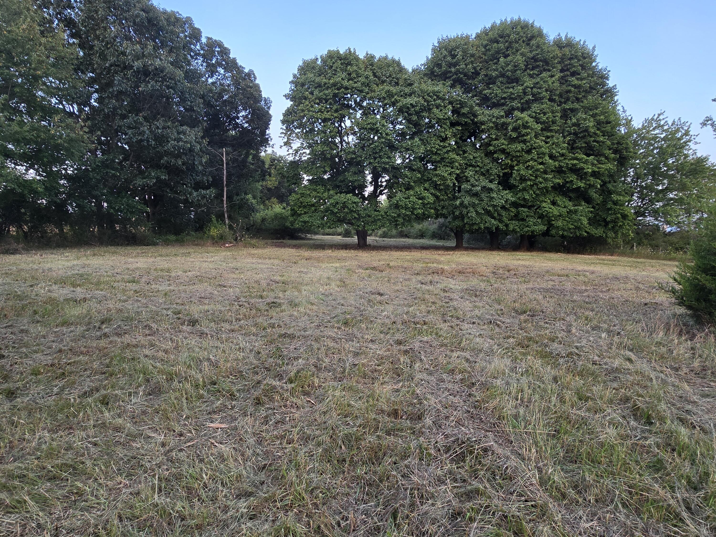 3911 West Carleton Road Jonesville, MI 49250 - Photo 5 of 12 20240820_202002