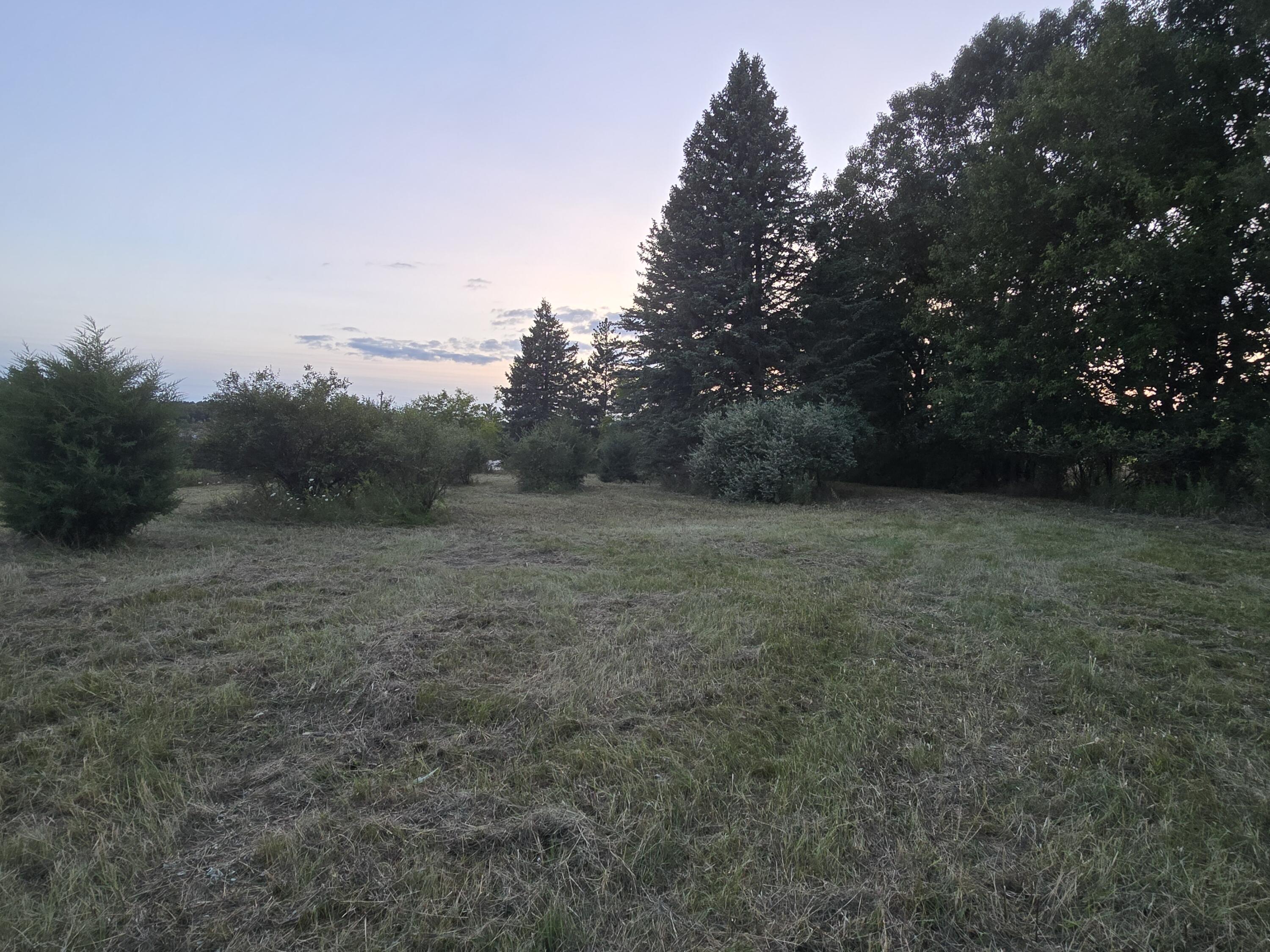 3911 West Carleton Road Jonesville, MI 49250 - Photo 10 of 12 20240820_202010