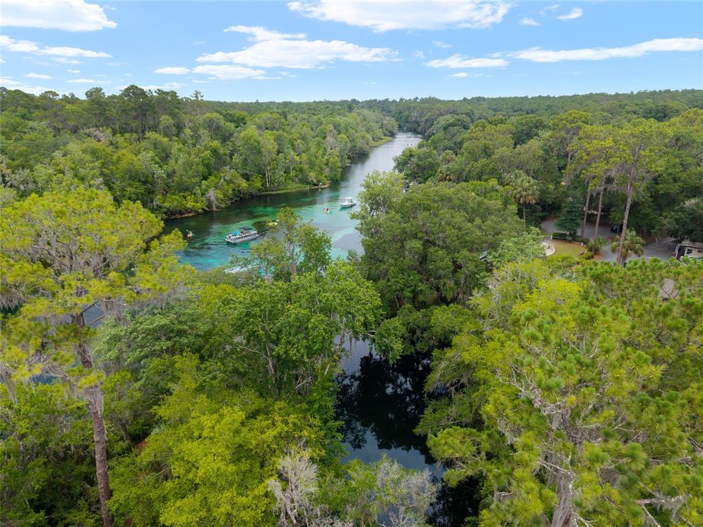 19654 Southwest 88th Loop Dunnellon, FL 34432 - Photo 85 of 100