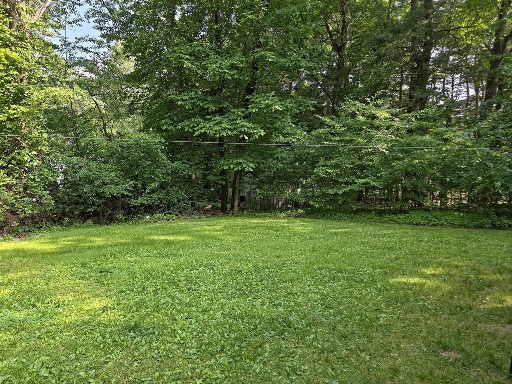 48 Sofia Road Stoughton, MA 02072 - Photo 31 of 32 Gallery Image 31