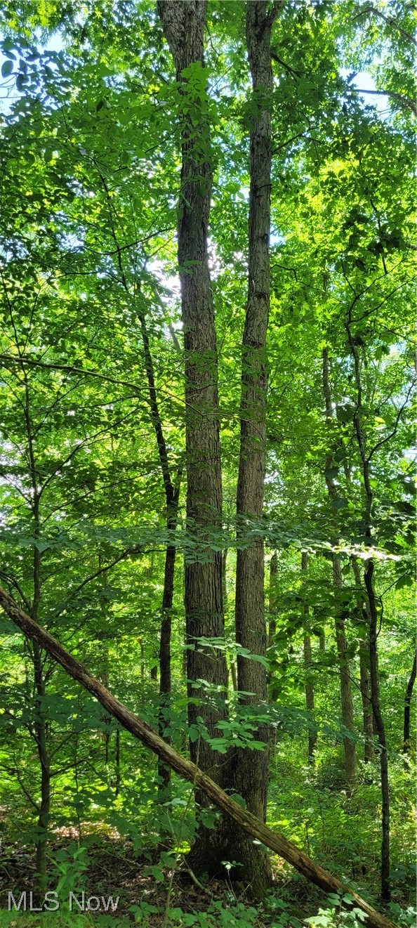 Bailey Long Road Bethesda, OH 43719 - Photo 23 of 50 Gallery Image 23