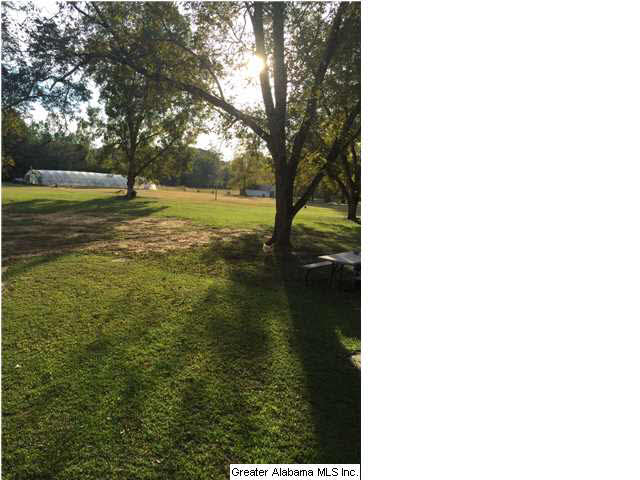 6020 Warrior River Road Bessemer, AL 35023 - Photo 11 of 22