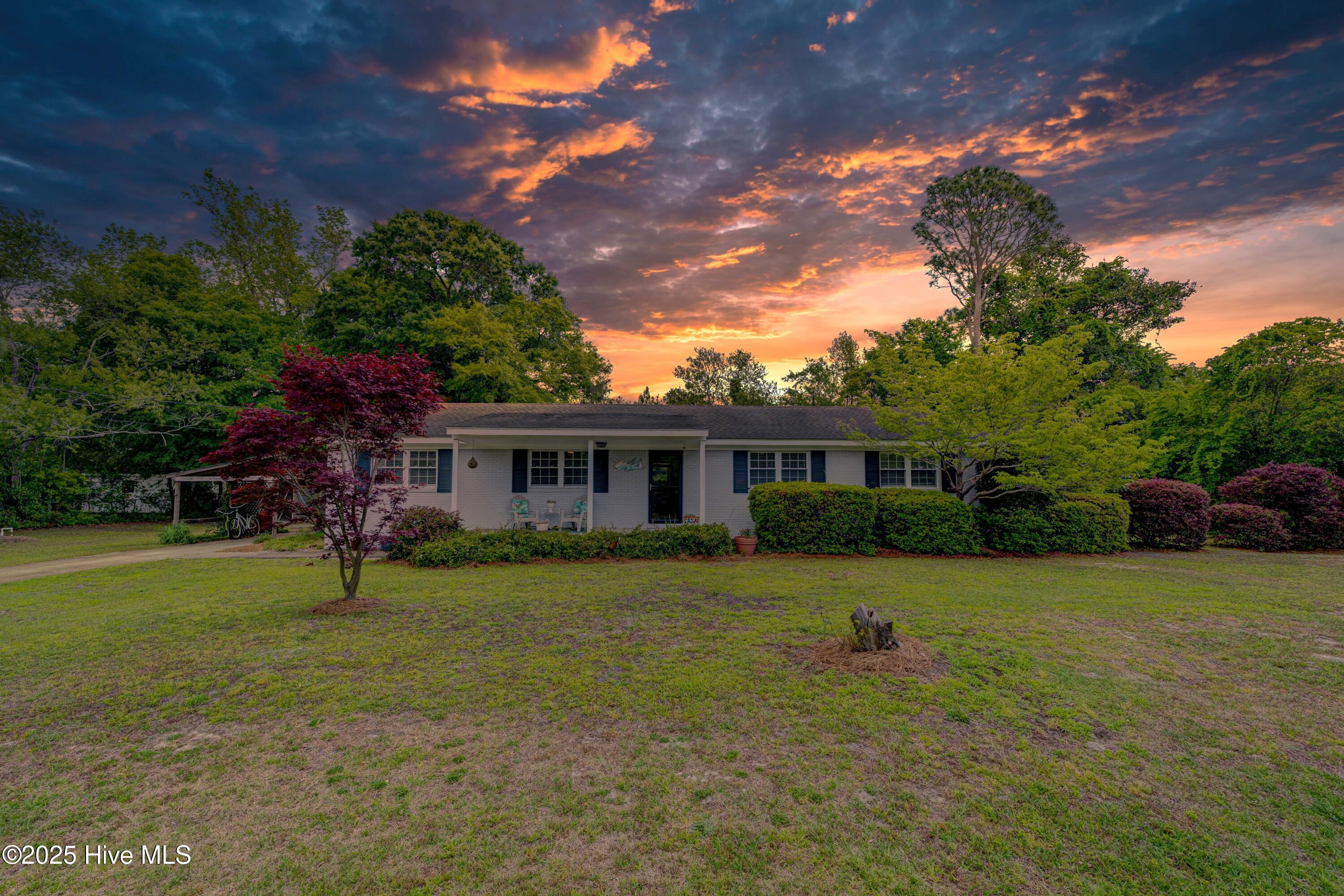 233 2 Chopt Road Wilmington, NC 28405 - Photo 1 of 50 233TwoChoptFinal-1-2