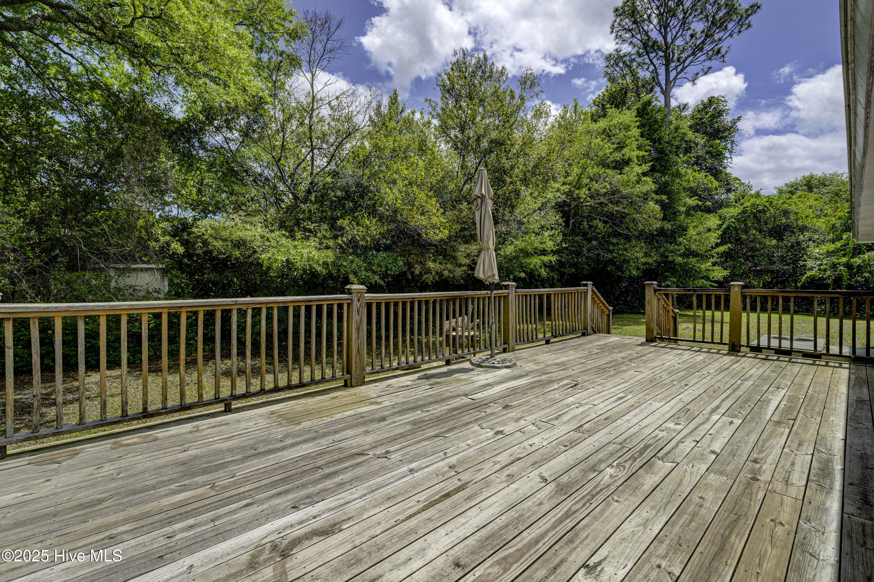 233 2 Chopt Road Wilmington, NC 28405 - Photo 49 of 50 233TwoChoptFinal-49