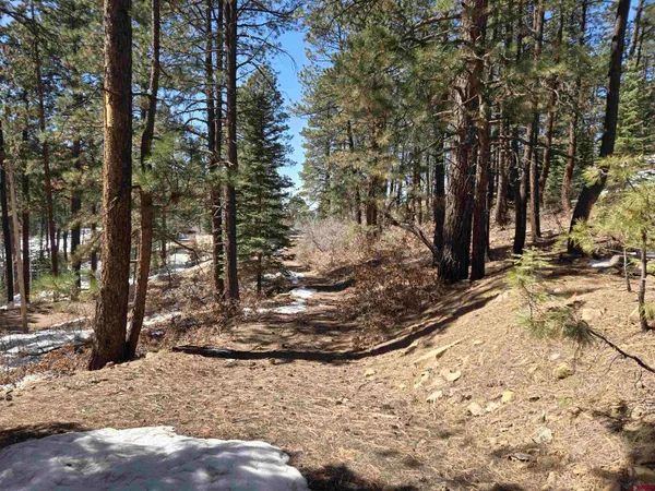 $112,500 | Lot 9 Groves Drive, Durango, CO 81301
