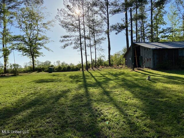 845 Miller Road Carthage, MS 39051 - Photo 33 of 34 Lisa13