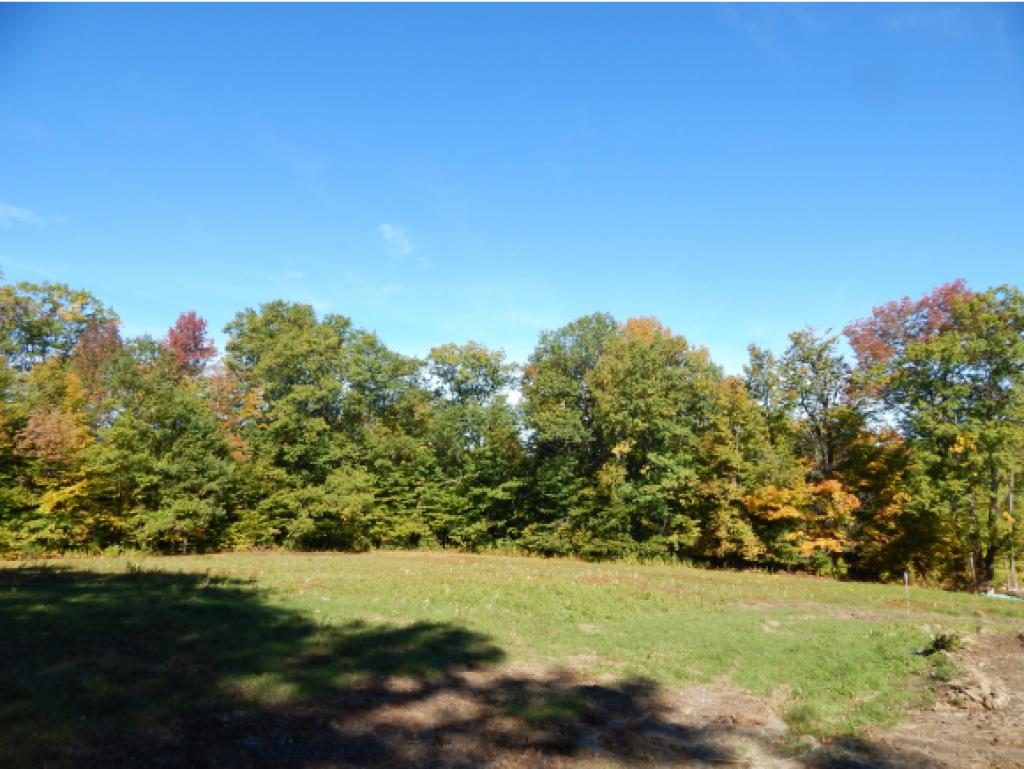 310 Dogford Road Hanover, NH 03750 - Photo 6 of 11