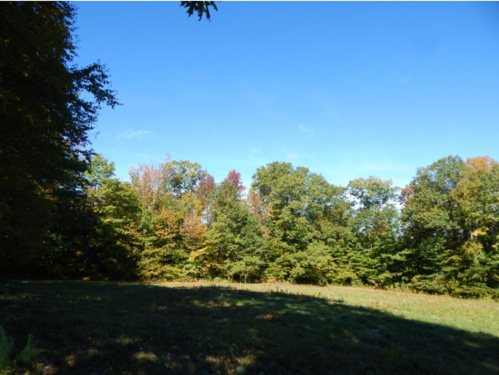 310 Dogford Road Hanover, NH 03750 - Photo 7 of 11