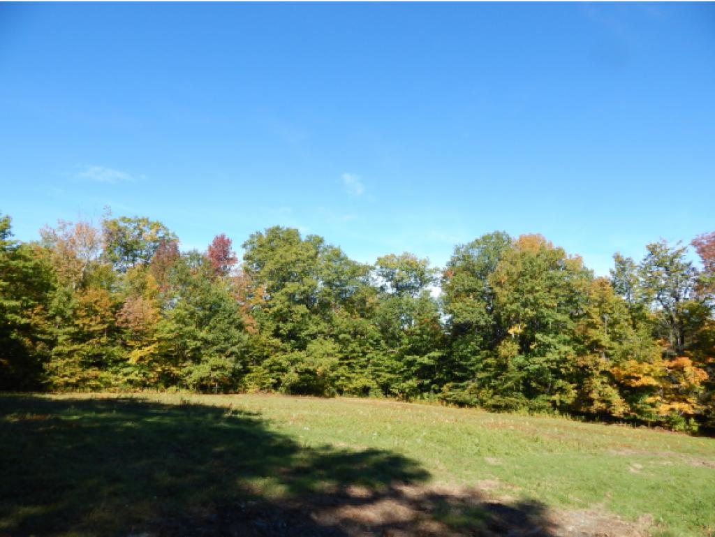 310 Dogford Road Hanover, NH 03750 - Photo 8 of 11