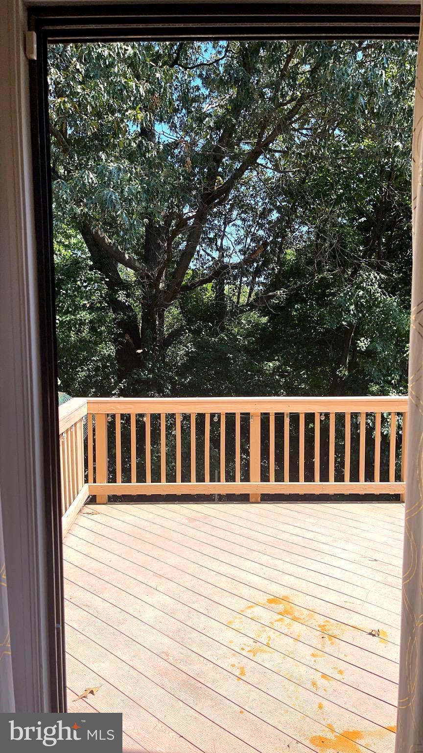 8605 Western Oak Drive Springfield, VA 22153 - Photo 13 of 28