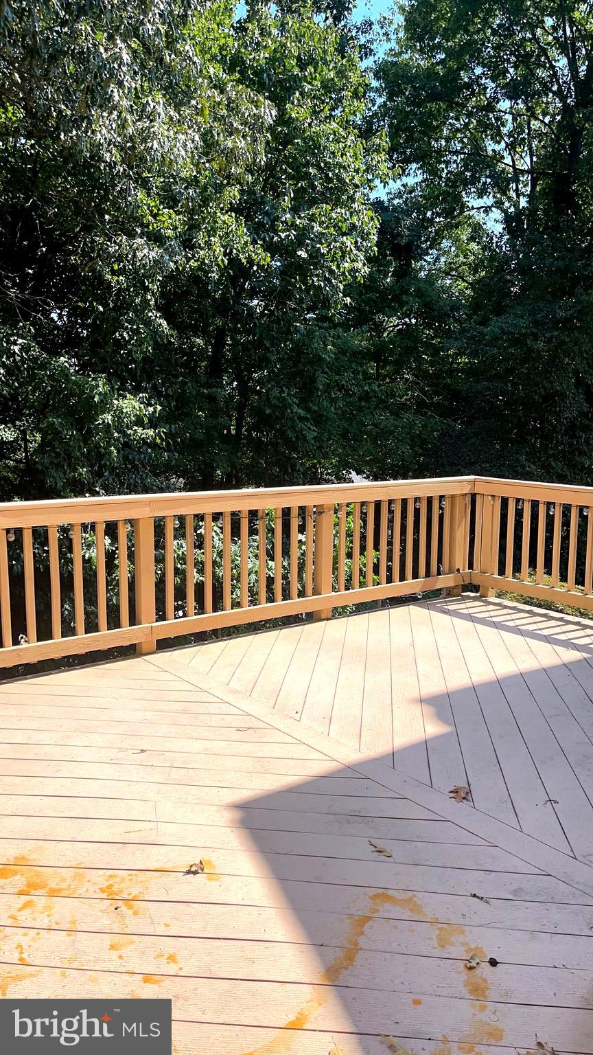 8605 Western Oak Drive Springfield, VA 22153 - Photo 14 of 28