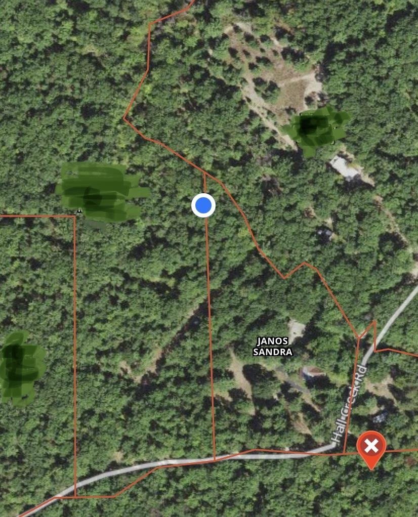 7450 Hall Creek Road Interlochen, MI 49643 - Photo 94 of 98 1906133-94.JPG