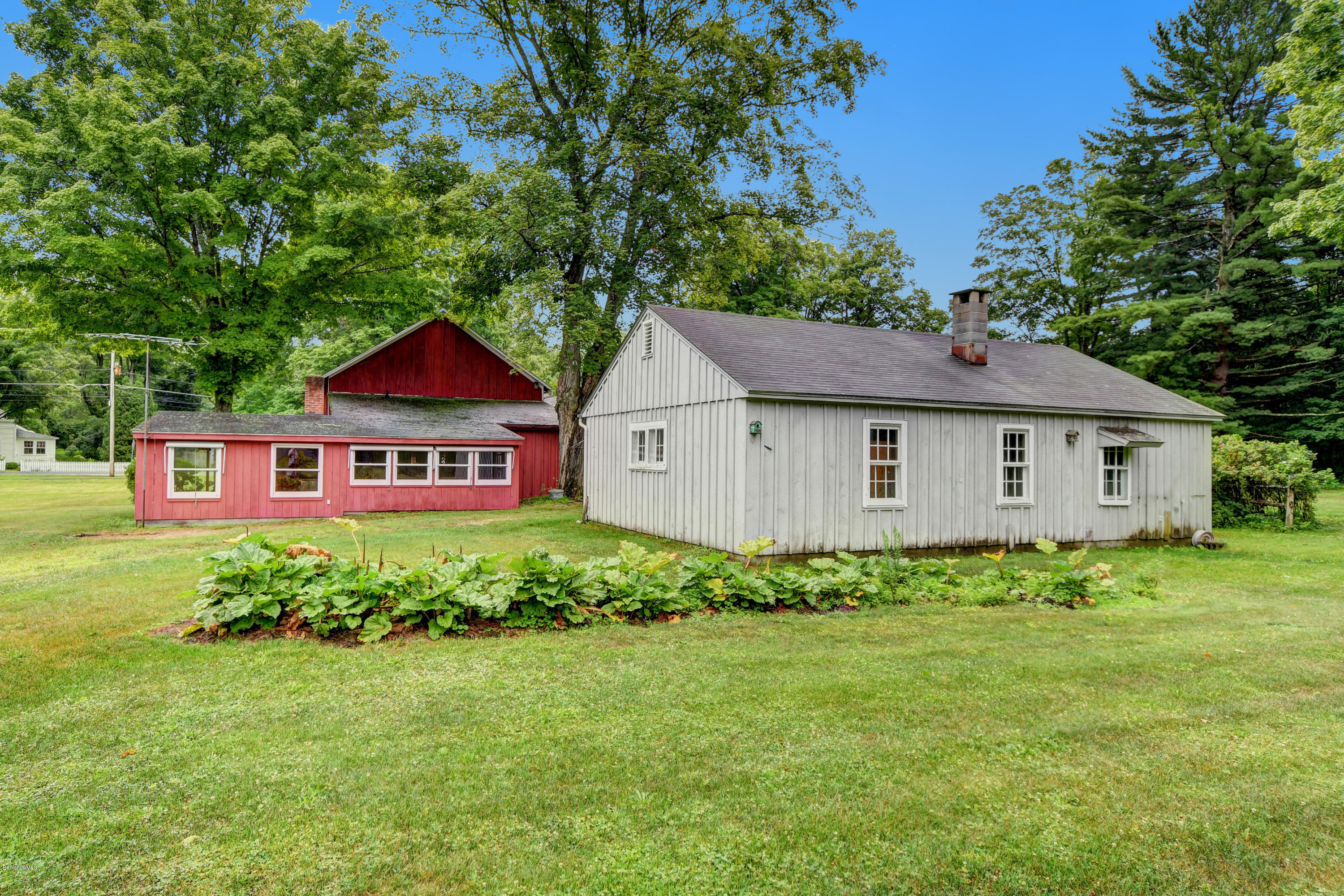 1114 Ashley Falls Road Sheffield, MA 01222 - Photo 48 of 53 a view of a yard in front of a house with plants and large tree