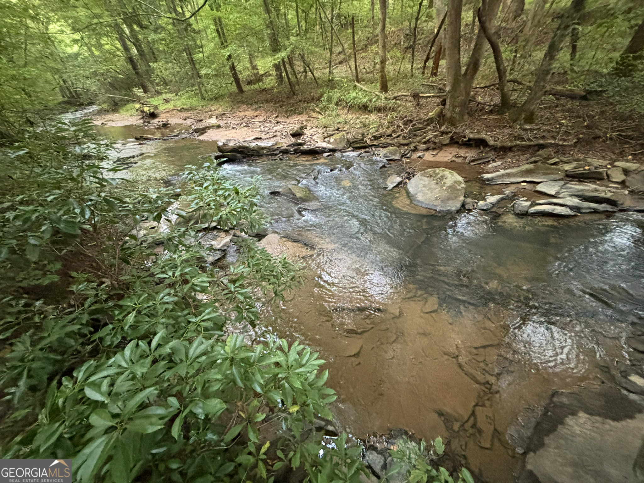 396 Mt Springer Road Ellijay, GA 30540 - Photo 21 of 50