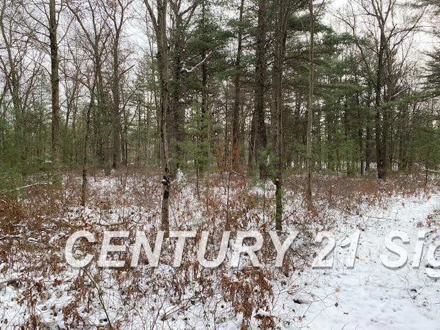 0 West Wackerly Road Sanford, MI 48657 - Photo 13 of 19