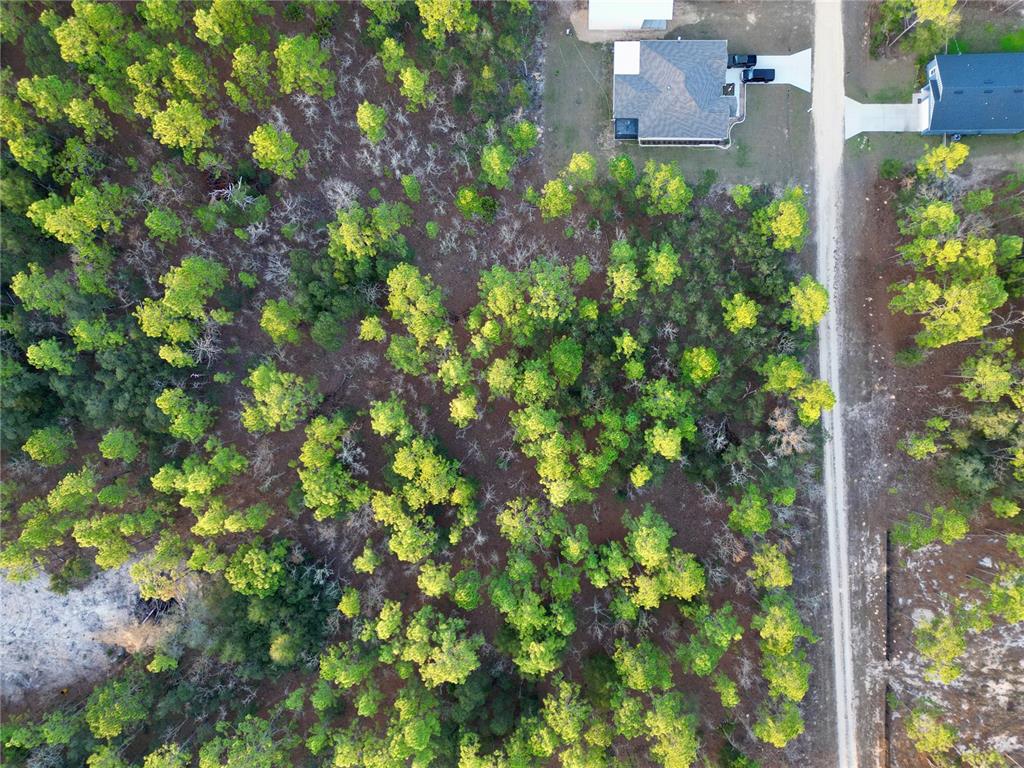 Southwest 124th Ter Road Ocala, FL 34481 - Photo 9 of 11