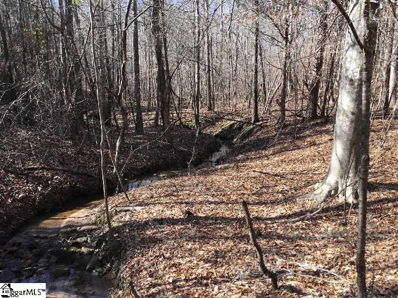 Steve Thompson Road Laurens, SC 29360 - Photo 2 of 7