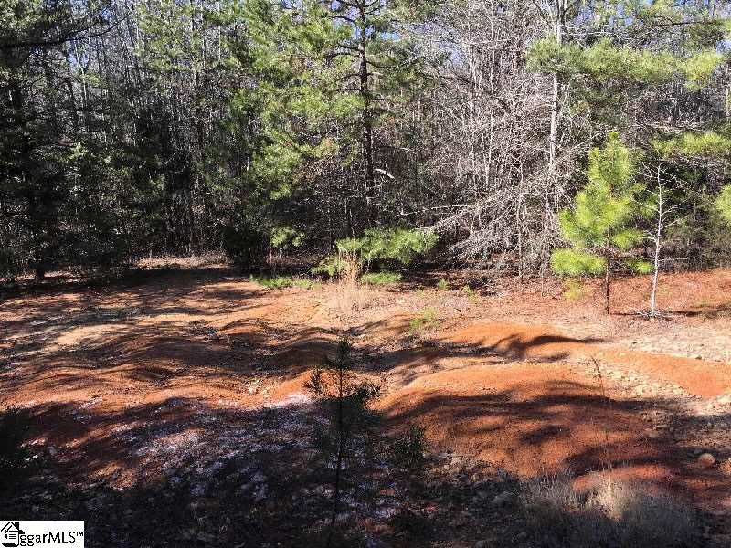 Steve Thompson Road Laurens, SC 29360 - Photo 3 of 7