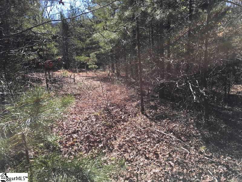 Steve Thompson Road Laurens, SC 29360 - Photo 5 of 7
