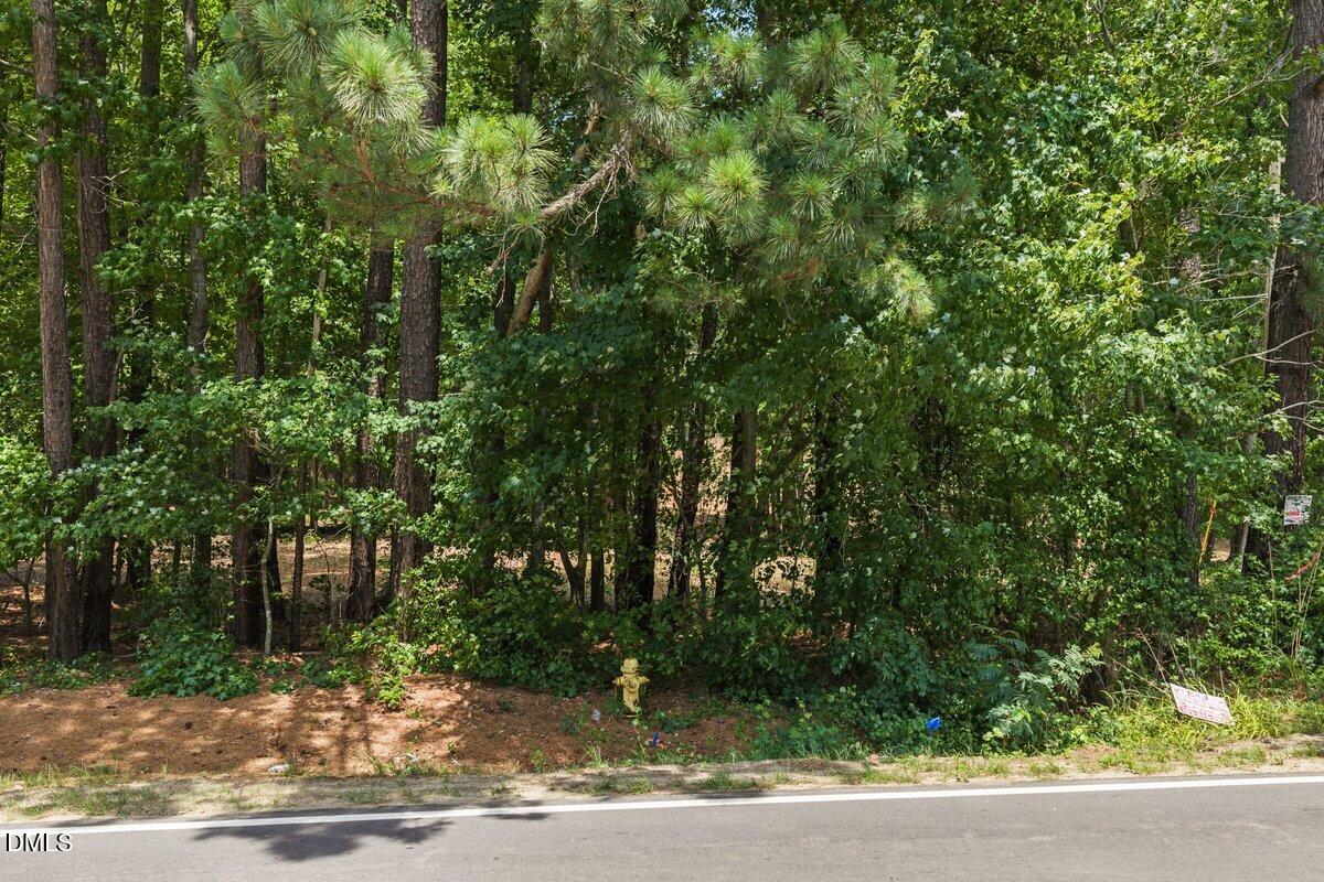 B2 Thelma Road Roanoke Rapids, NC 27870 - Photo 7 of 7 a view of a yard