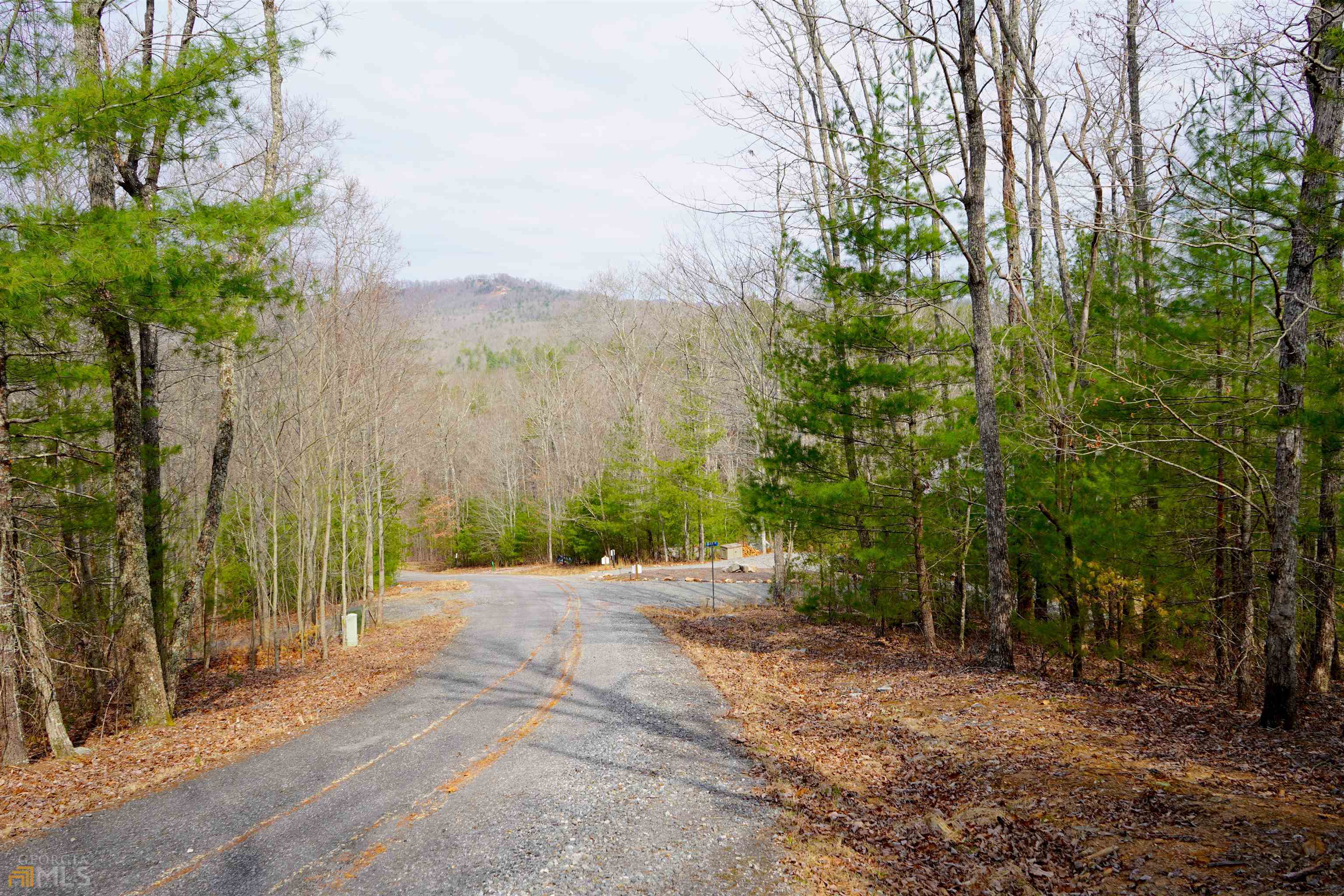 Lt 17 Scouts Ridge Morganton, GA 30560 - Photo 1 of 1 Gallery Image 1