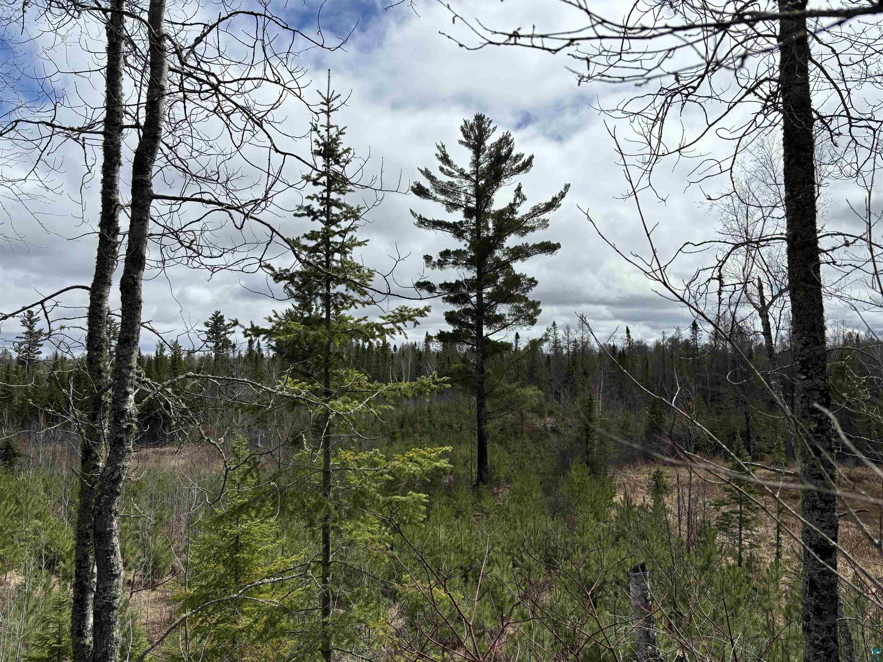 Xxx North Dike Road Duluth, MN 55803 - Photo 11 of 12 Gallery Image 11