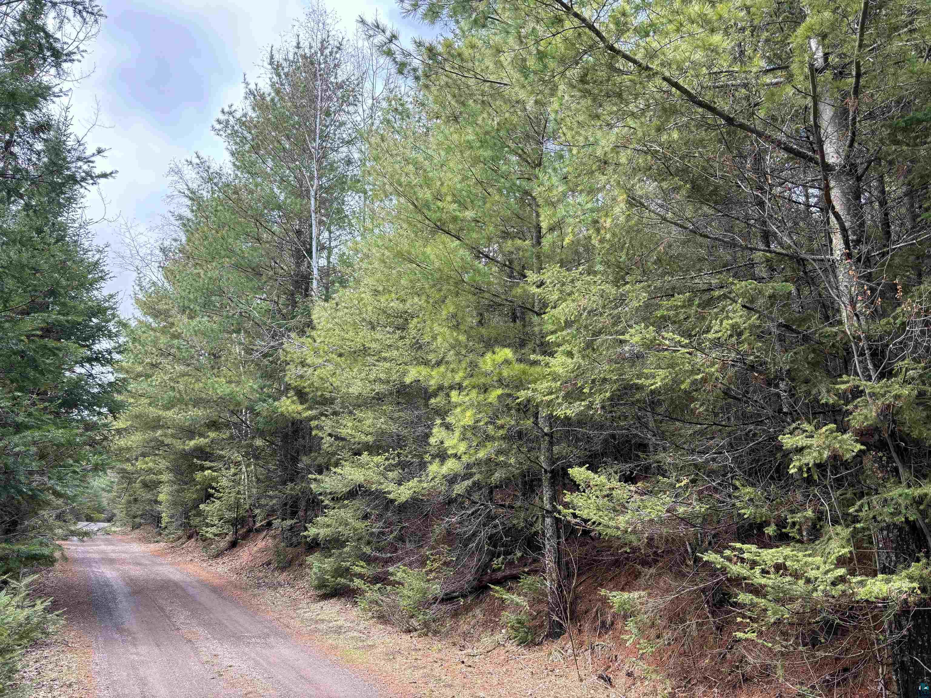 Xxx North Dike Road Duluth, MN 55803 - Photo 8 of 12 Gallery Image 8