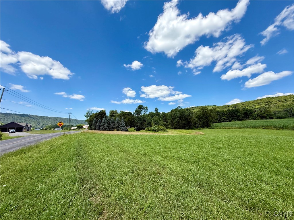 0 East Lake Road De Ruyter, NY 13052 - Photo 2 of 17