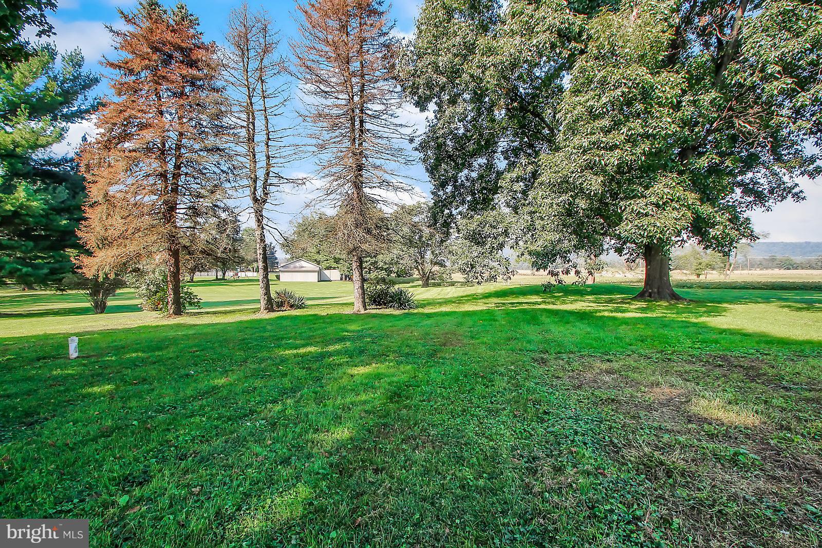 5043 Fairfield Road Fairfield, PA 17320 - Photo 22 of 28 backyard