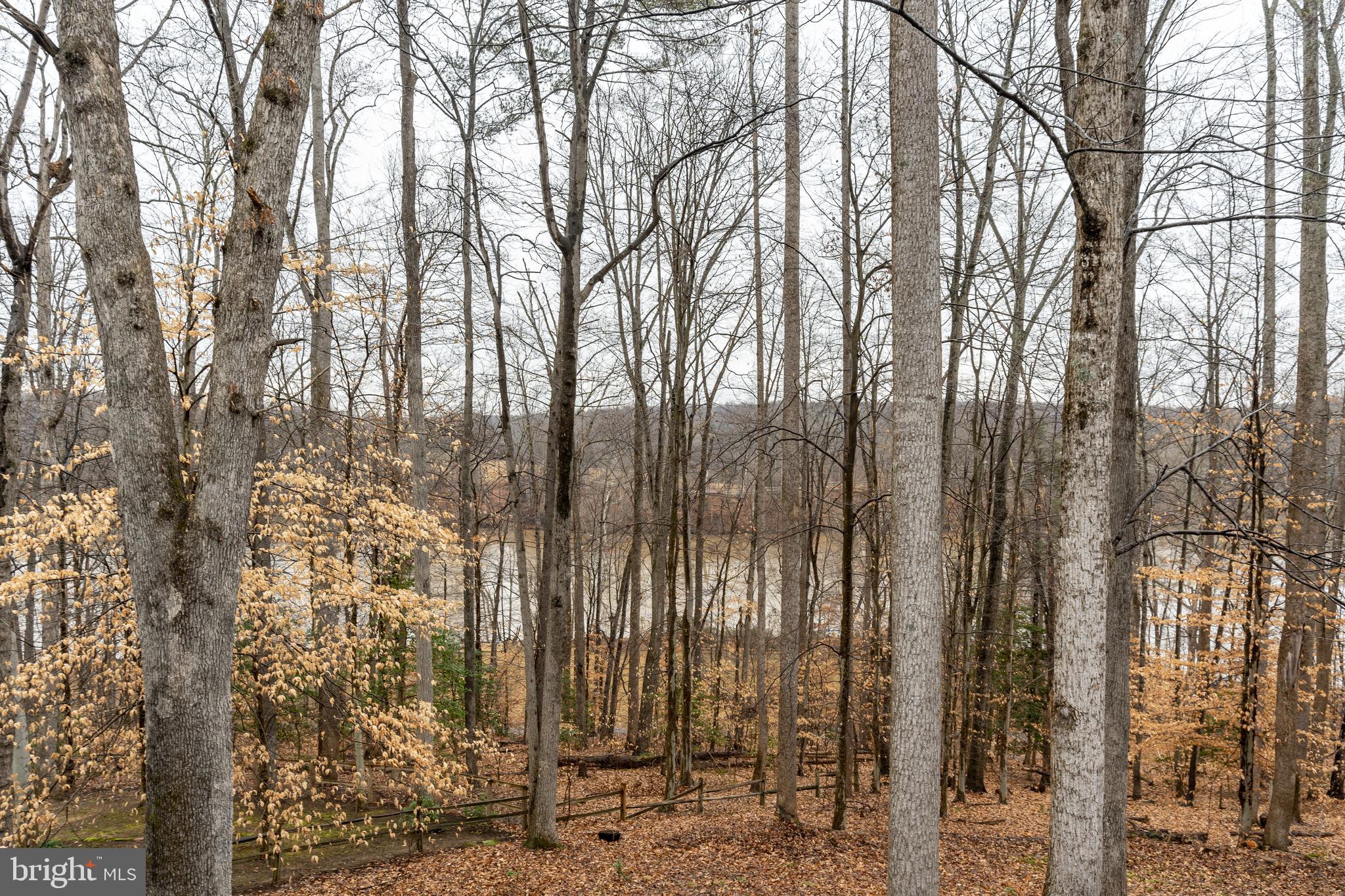 10827 Split Rail Drive Manassas, VA 20112 - Photo 47 of 53