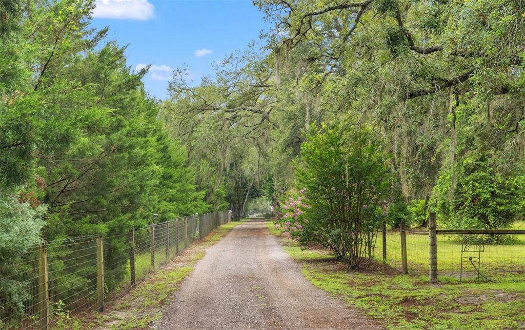 17163 Benes Roush Road Brooksville, FL 34604 - Photo 69 of 75 Gallery Image 69