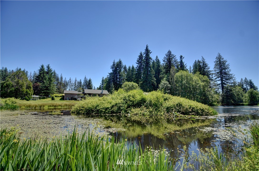 15837 Case Road Southwest Rochester, WA 98579 - Photo 31 of 40 a view of a garden with trees in a background