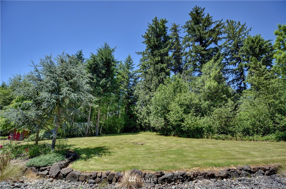 15837 Case Road Southwest Rochester, WA 98579 - Photo 37 of 40 a view of a large trees with a yard
