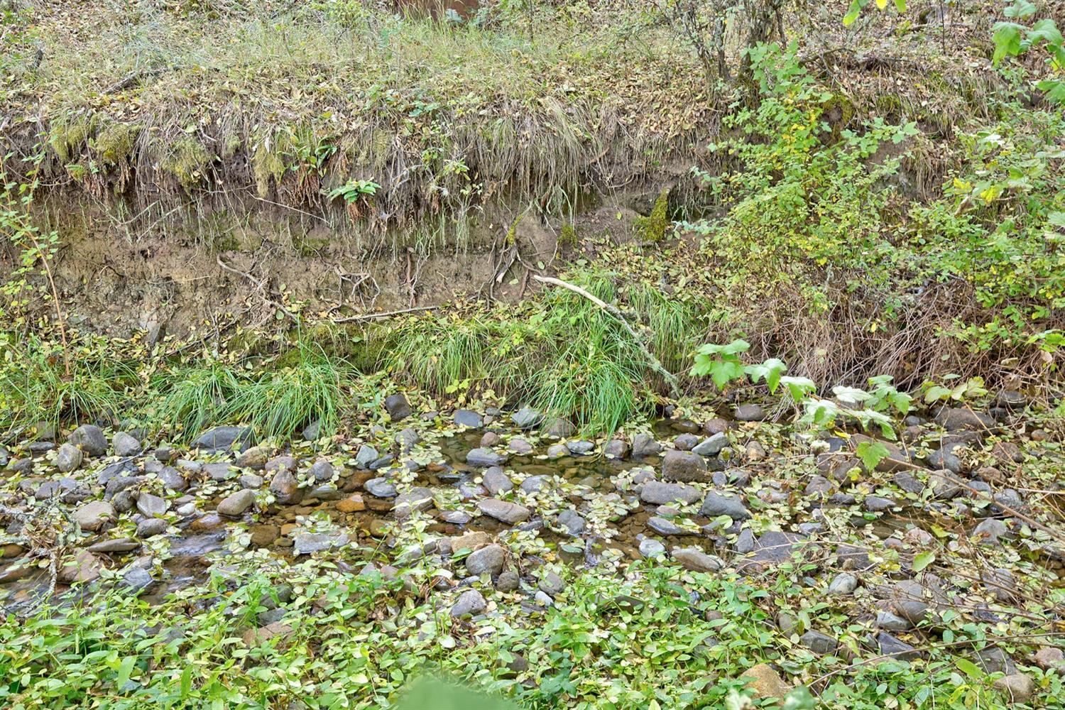 6474 West Side Road Cave Junction, OR 97523 - Photo 18 of 31 Additional Photo