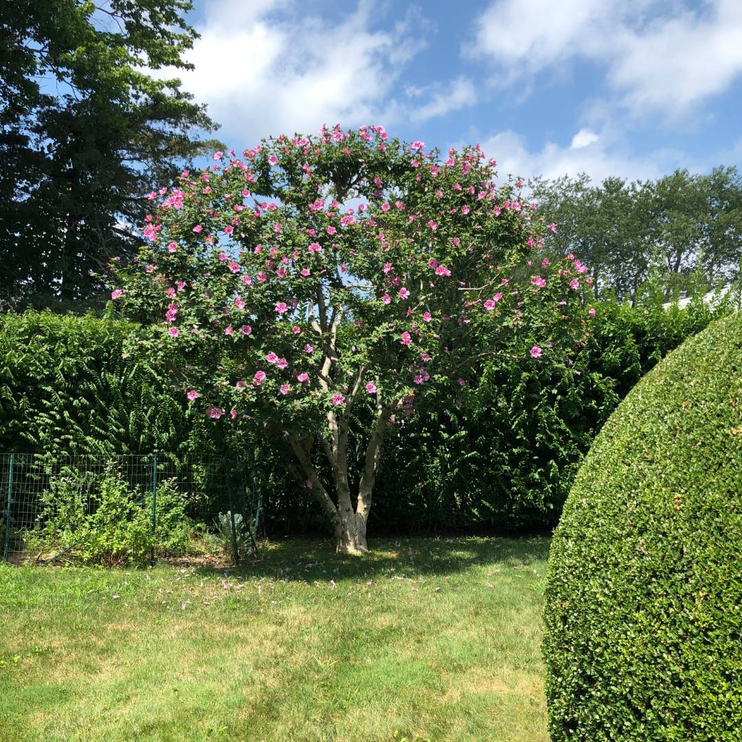 25 Sunset Drive Sag Harbor, NY 11963 - Photo 31 of 37