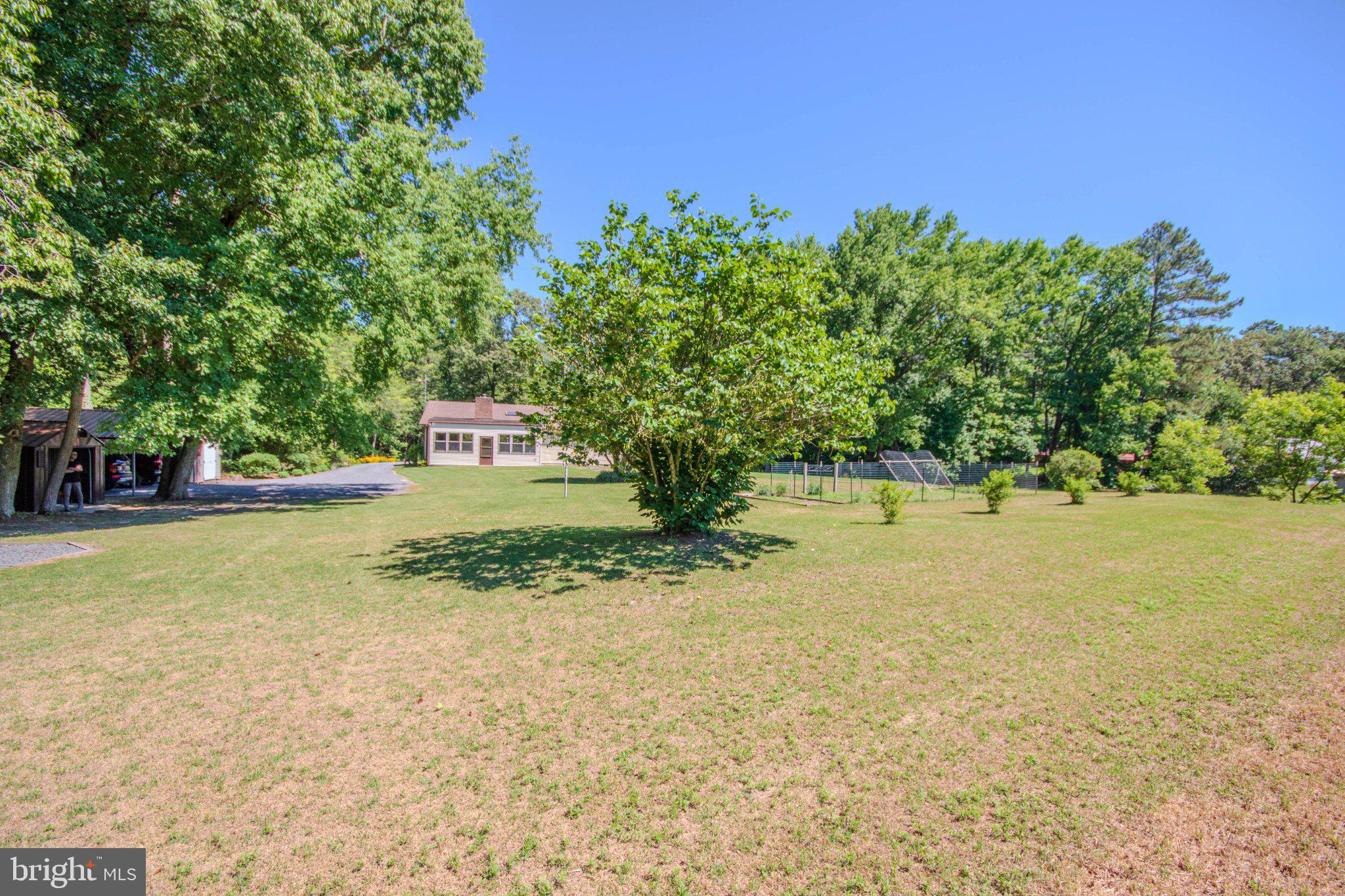 31749 Morris Leonard Road Parsonsburg, MD 21849 - Photo 30 of 40 Spacious yard with lush greenery.