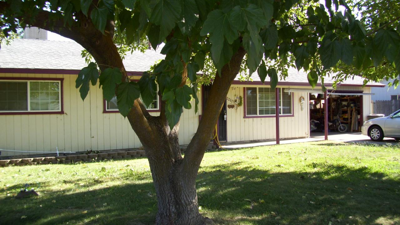 22023 Riverside Avenue Red Bluff, CA 96080 - Photo 1 of 7 FRONT OF HOME