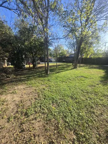 a view of a garden with trees