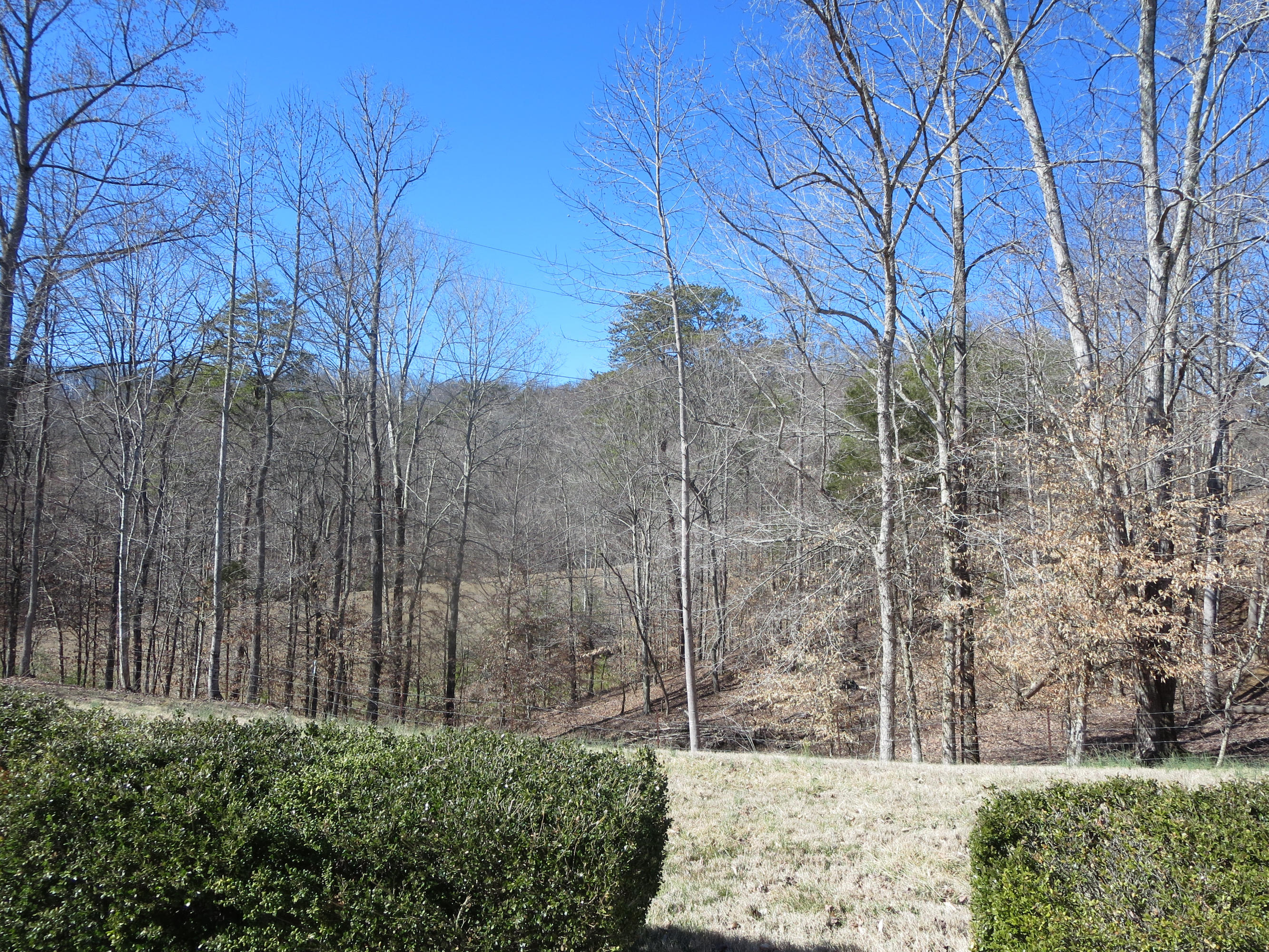 2772 Hinds Creek Road Heiskell, TN 37754 - Photo 8 of 21 Rear View from Patio