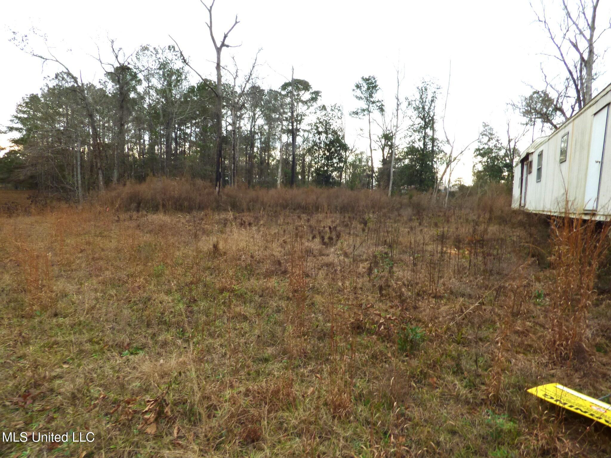 1022 Mallette Circle Magnolia, MS 39652 - Photo 4 of 5 P1340204