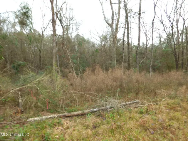 $20,000 | 1022 Mallette Circle, Magnolia, MS 39652