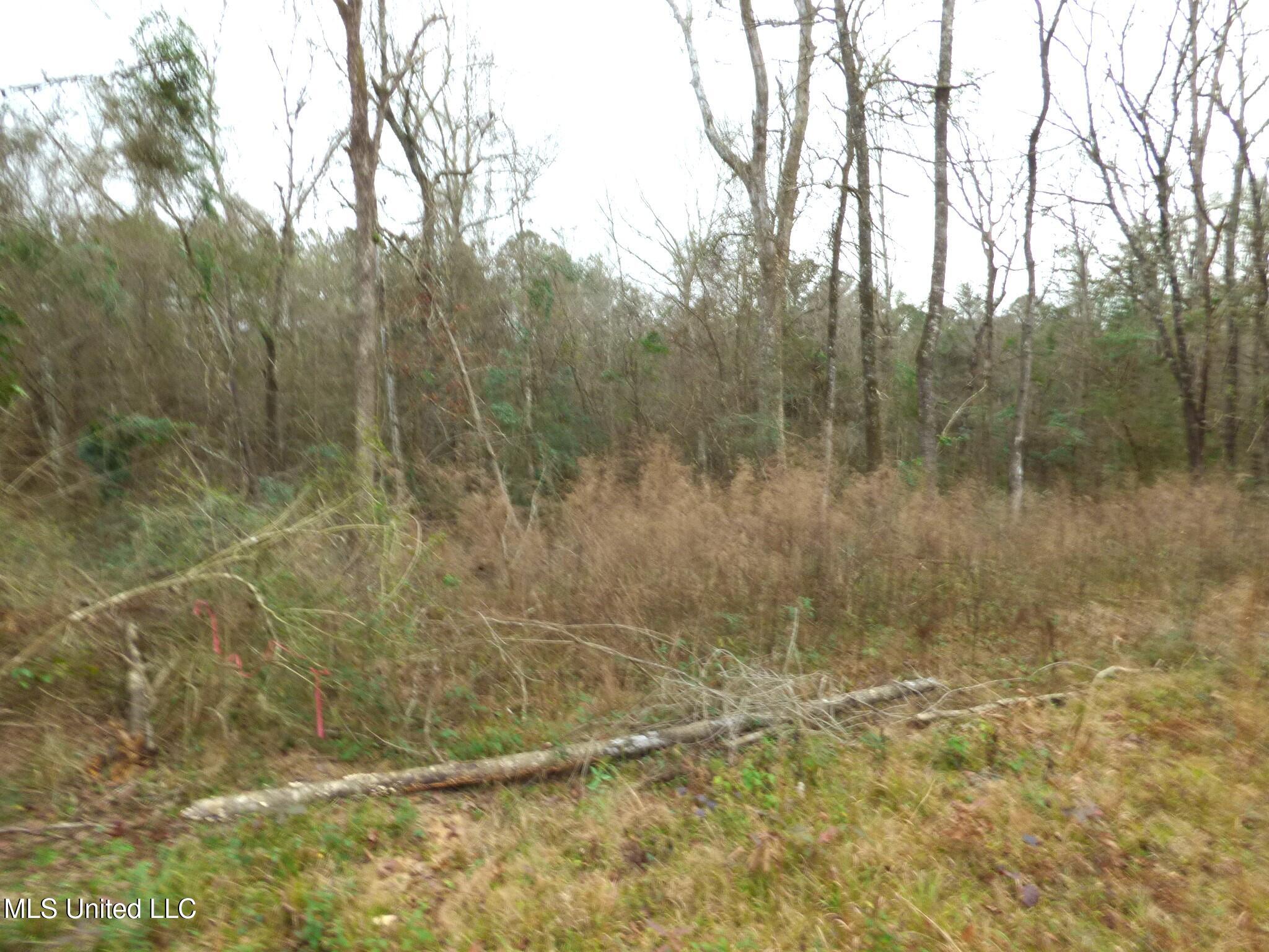 1022 Mallette Circle Magnolia, MS 39652 - Photo 5 of 5 P1340205