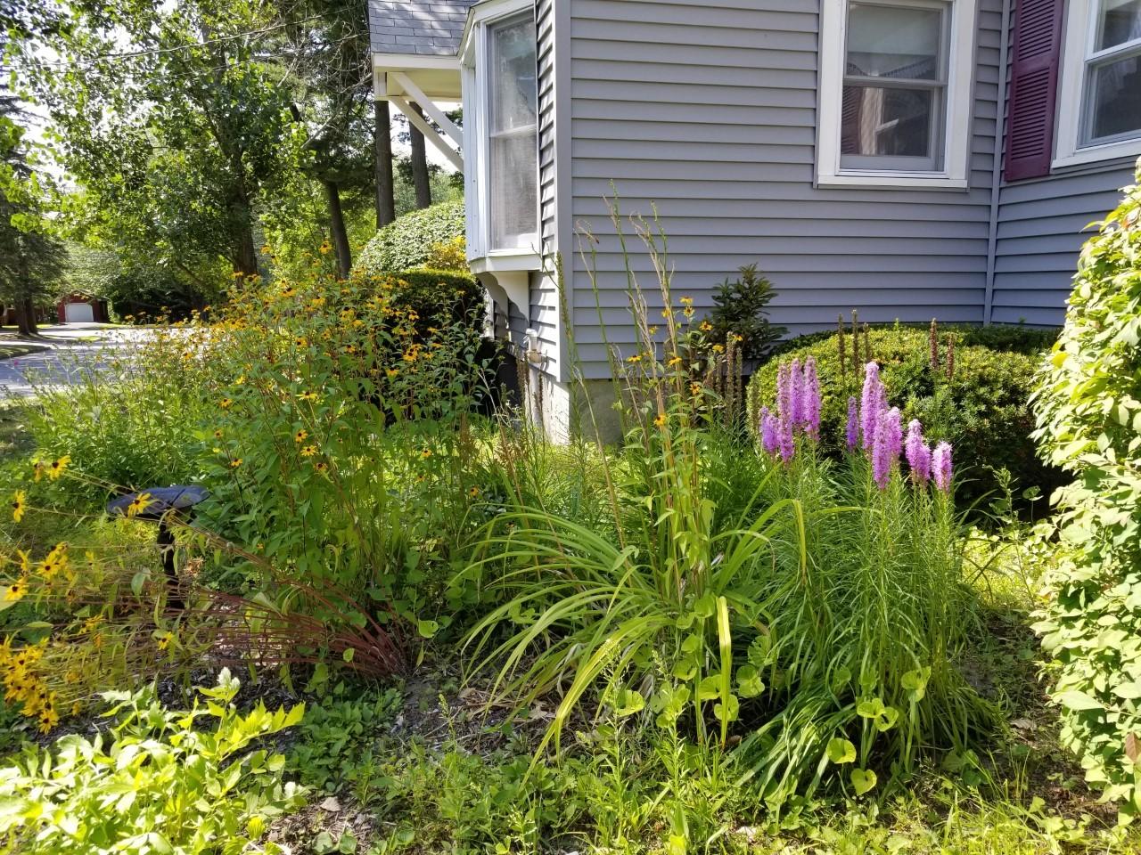18 Alpine Road Portland, ME 04103 - Photo 35 of 36 Alpine gardens