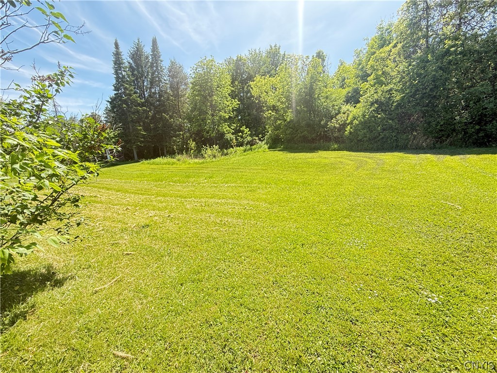4111 Cook Farm Road LaFayette, NY 13078 - Photo 39 of 40
