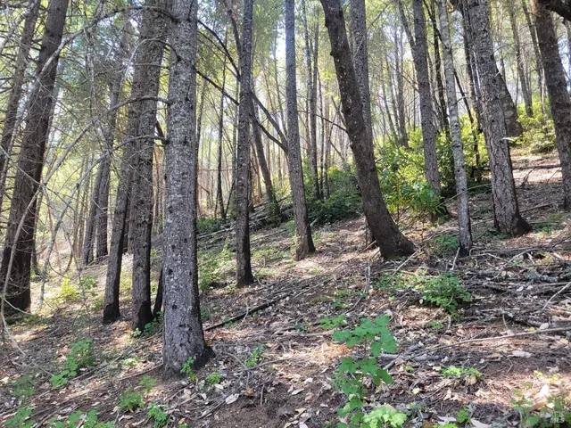 $750,000 | 20000 Gibson Lane, Redwood Valley, CA 95470