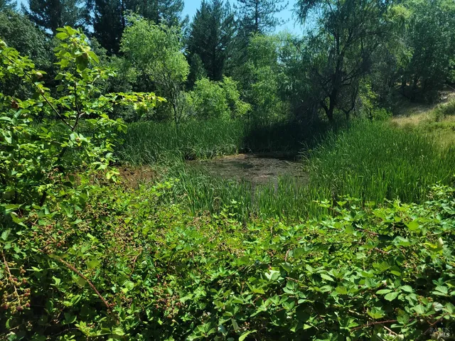 $750,000 | 20000 Gibson Lane, Redwood Valley, CA 95470