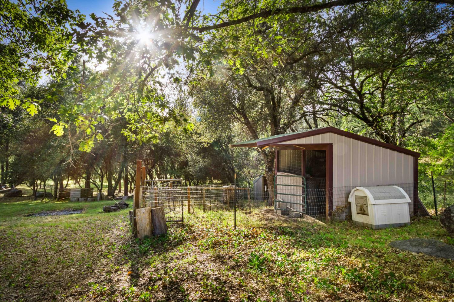 5025 Eco Ridge Road Placerville, CA 95667 - Photo 50 of 72