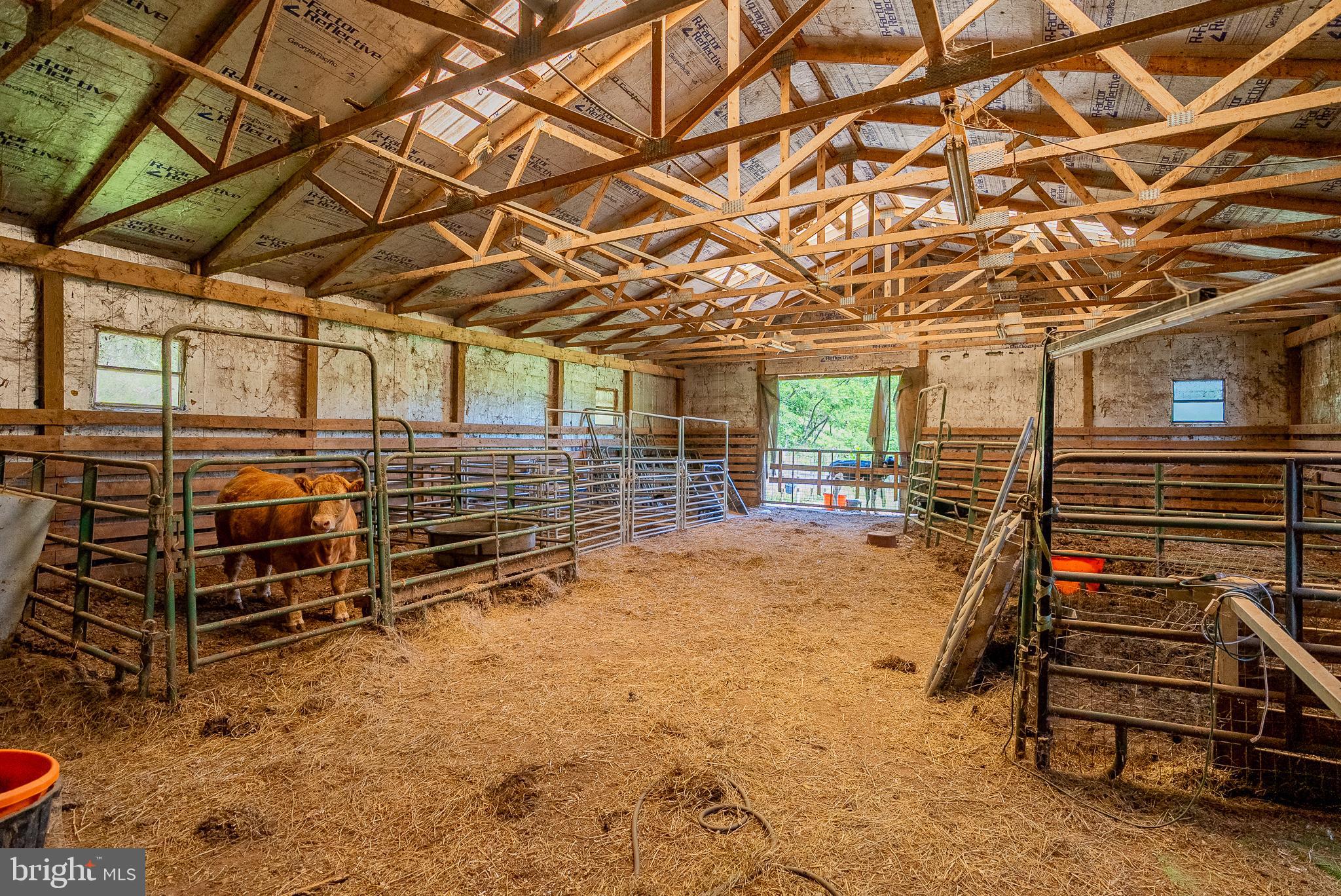 2084 Double Cribbs Road Burlington, WV 26710 - Photo 84 of 87
